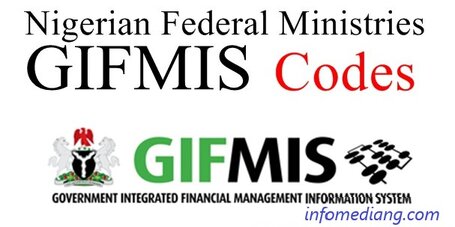 gifmis_remita_codes_to_pay_money_into_federation-account_nigeria