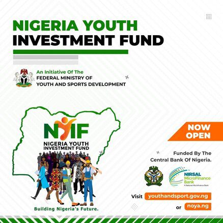 Nigeria Youth Investmemnt Fund Support