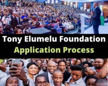 Tony Elumelu Foundation Application Process