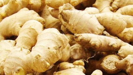 exporting_ginger_from_nigeria_to_trusted_foreign_buyers