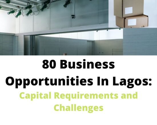 Business Opportunities In Lagos Capital Requirements and Challenges