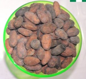 Nigerian cocoa