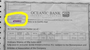 sample of shareholder account number in nigeria