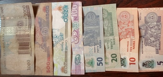 nigerian banknotes