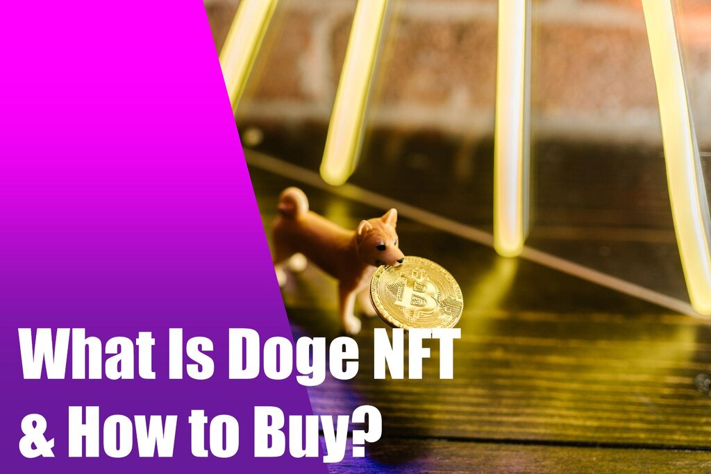 What is Doge NFT and How To But It
