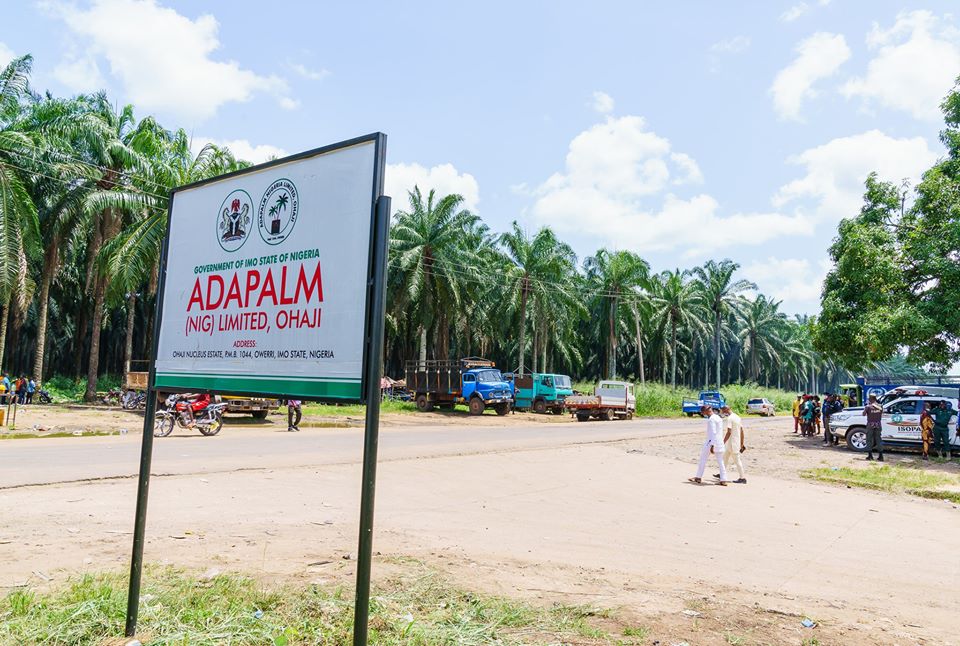 investment opportunities in Imo ADAPALM-IMO-STATE