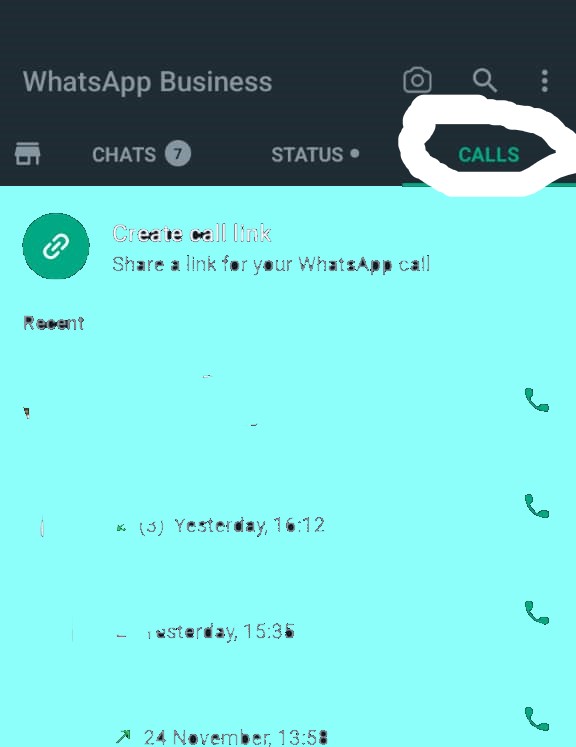WhatsApp Voice Call Link