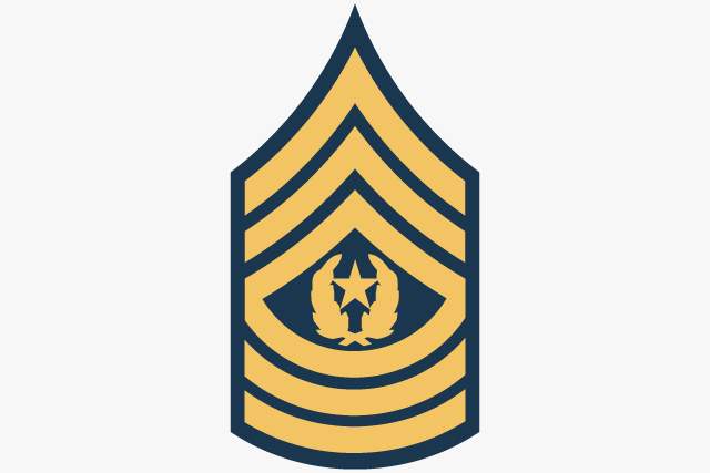 Command Sergeant Major (CSM) insignia