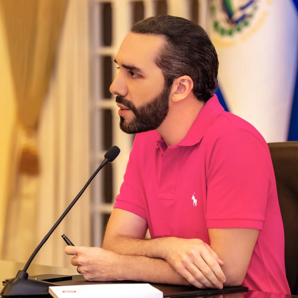 profile Nayib Armando Bukele Ortez bitcoin influencer