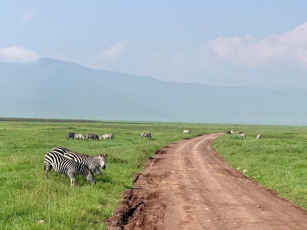 Ngorongoro Conservation Area is famous