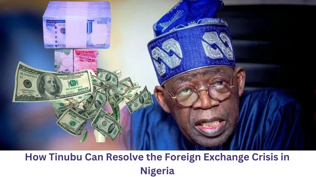 How Tinubu Can Resolve the Foreign Exchange Crisis in Nigeria