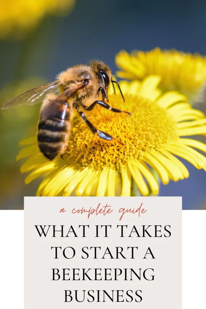 What It Takes To Start a Beekeeping Business (A Step-By-Step Guide)