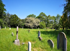 This is a graveyard to illustrate how family can transfer the shares of their late parent's into their name