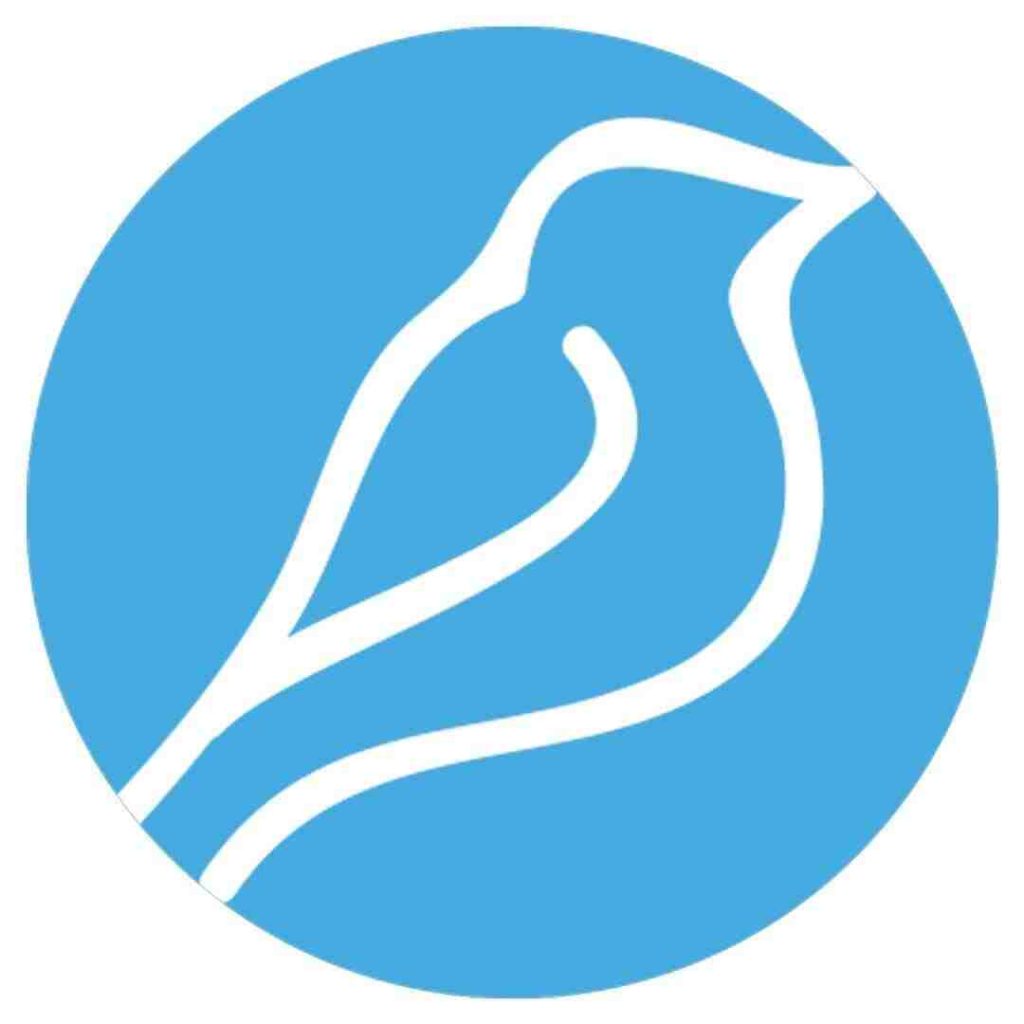 The official company logo of Bluebird International a tech development company in Europe and United States