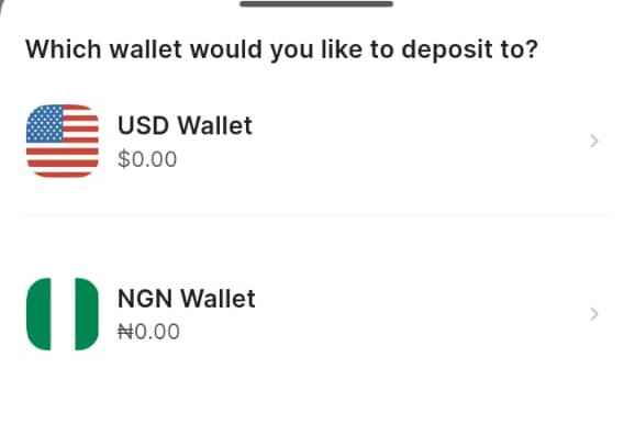 a screenshot of wallet account on bamboo app
