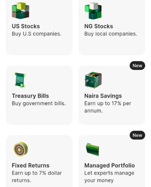 buying stocks on Bamboo App
